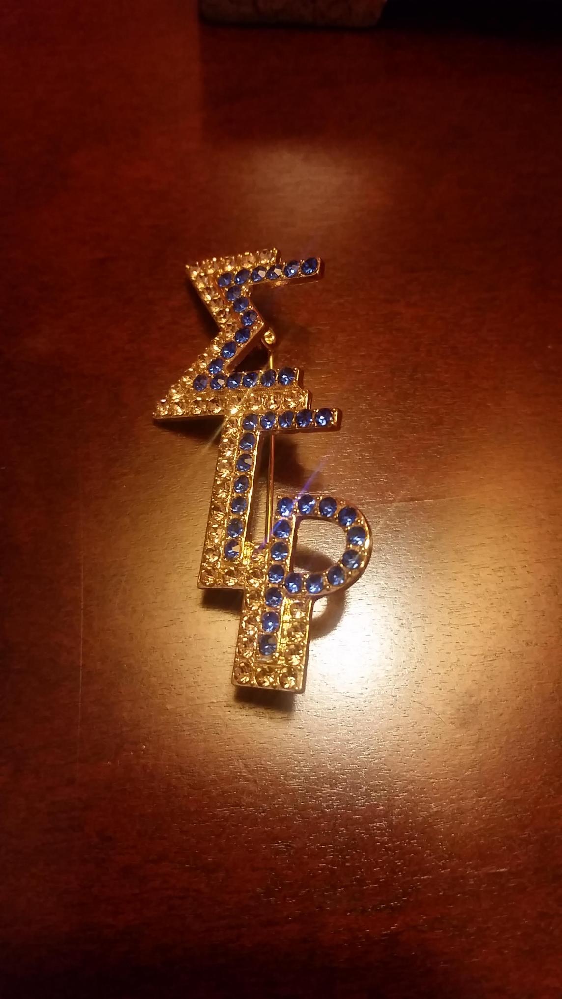 SGRho Two Tone Pin