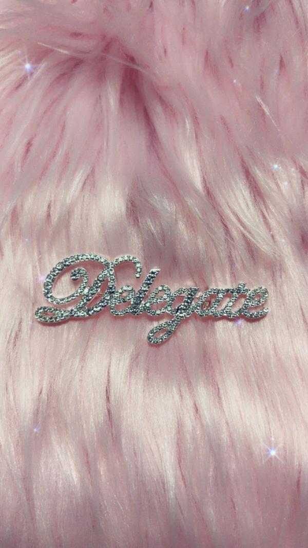 Delegate Rhinestones Pin