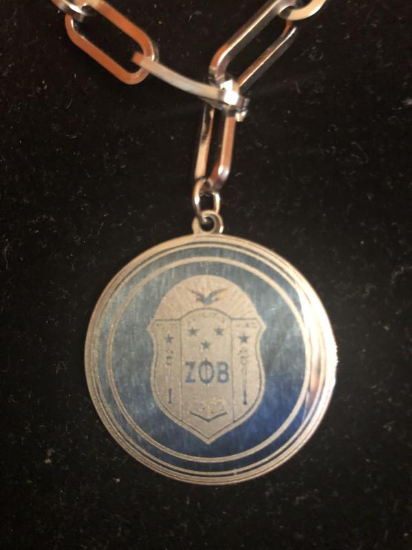 Zeta Stainless Steel Links and Pearls Necklace - NEW!!!