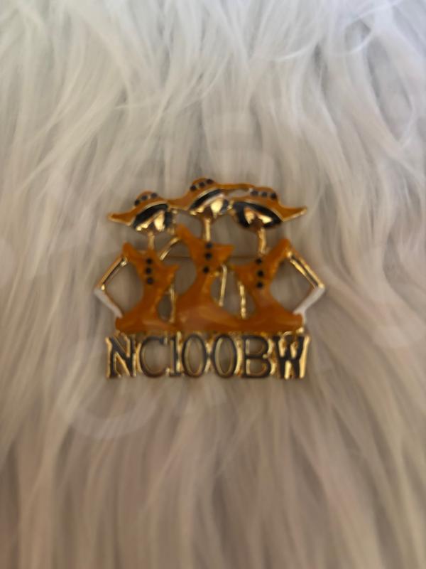 NC100BW Sisters Pin in Gold