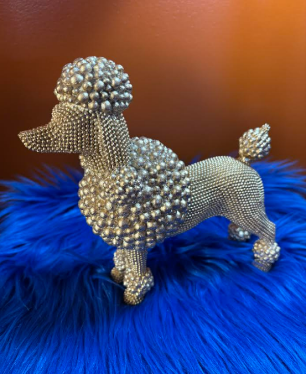 RHOver the Pretty Poodle